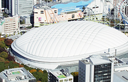 福利厚生イメージ：東京ドーム